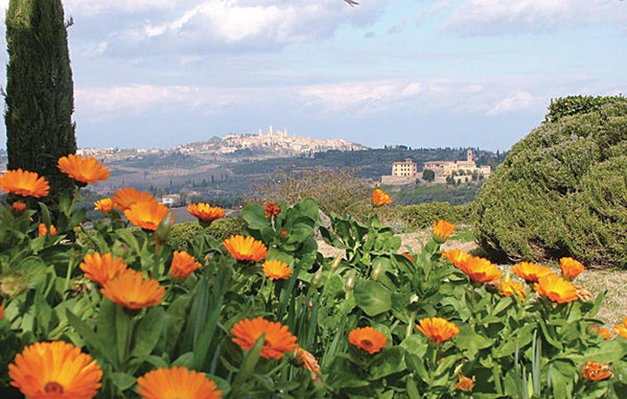 Agriturismo Fattoria Il Piano - Casa Tosca - San Gimignano Luaran gambar
